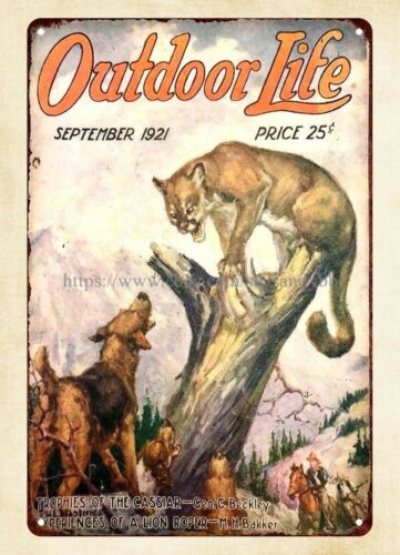 Hunting Dog Outdoor - koop wall 1921 OUTDOOR LIFE magazine