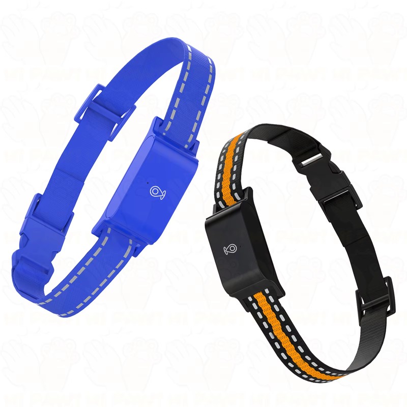 GPS-tracker voor honden, outdo - Hunting Dog Outdoor recensie en prijs