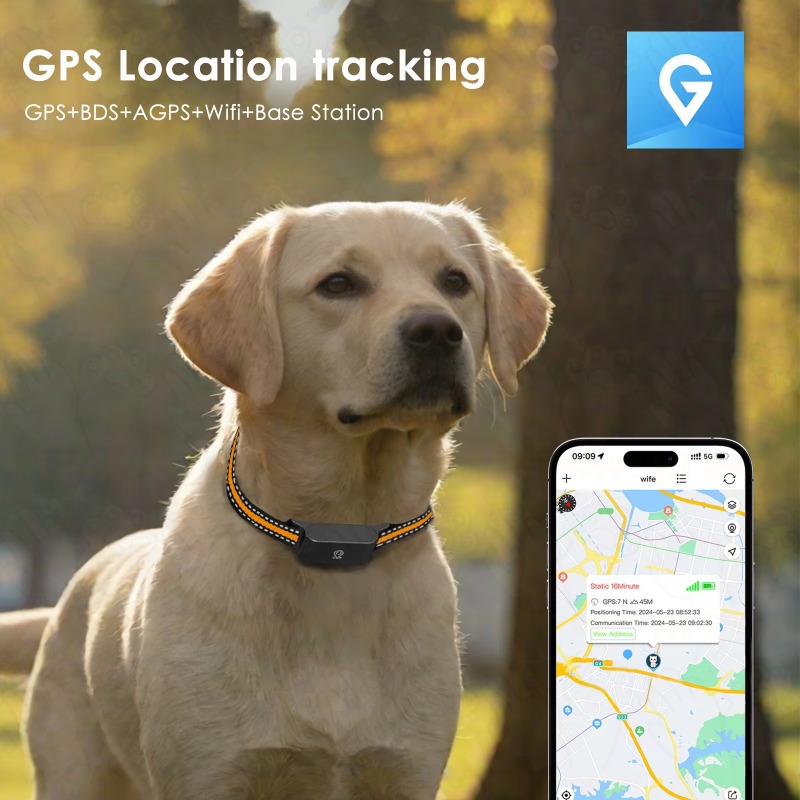 GPS-tracker voor honden, outdo - Hunting Dog Outdoor recensie en prijs