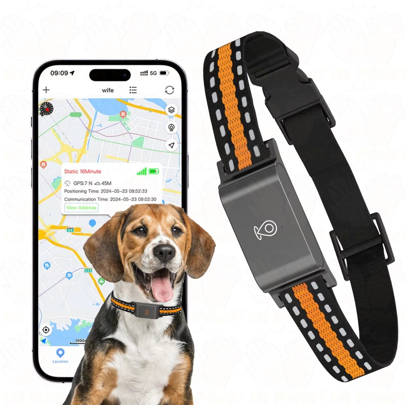 GPS-tracker voor honden, outdo - Hunting Dog Outdoor recensie en prijs